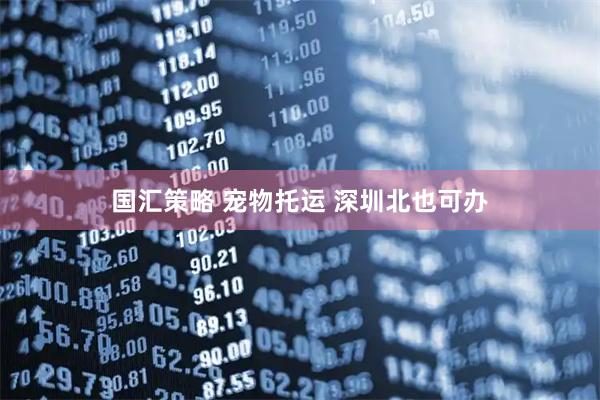 国汇策略 宠物托运 深圳北也可办