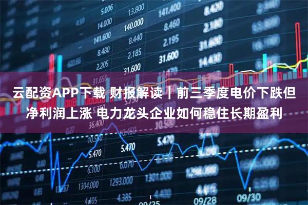 云配资APP下载 财报解读｜前三季度电价下跌但净利润上涨 电力龙头企业如何稳住长期盈利