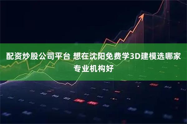 配资炒股公司平台 想在沈阳免费学3D建模选哪家专业机构好