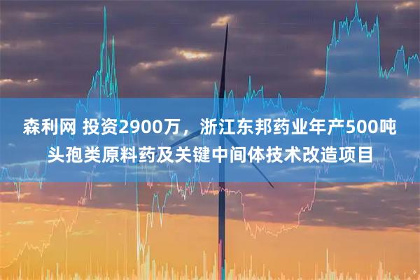 森利网 投资2900万，浙江东邦药业年产500吨头孢类原料药及关键中间体技术改造项目